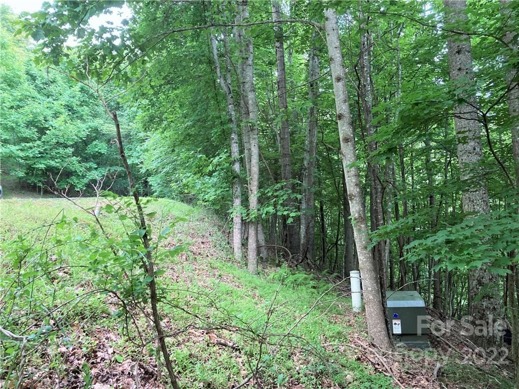 1161 Standing Deer Trace 130 Property Photo 11