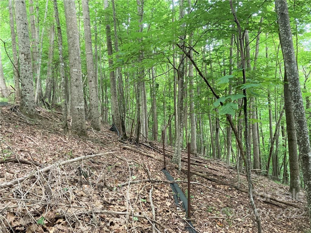 1161 Standing Deer Trace 130 Property Photo 12