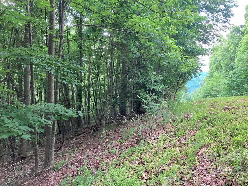1161 Standing Deer Trace 130 Property Photo 15