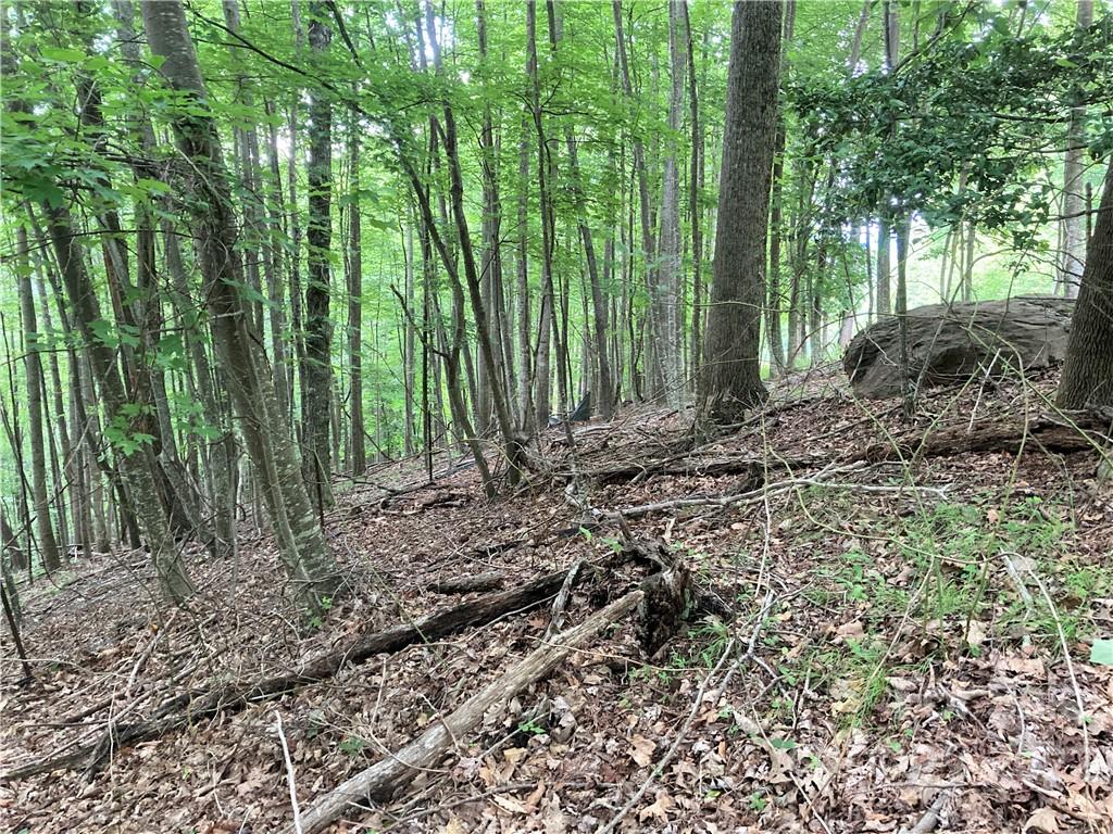 1161 Standing Deer Trace 130 Property Photo 16