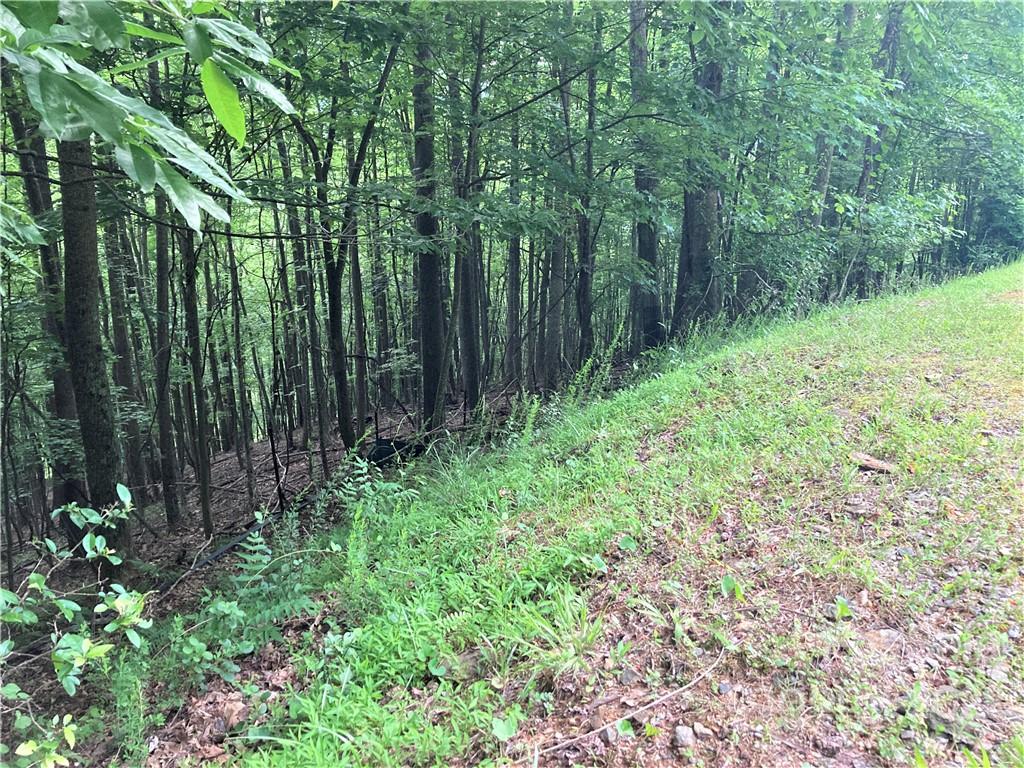 1161 Standing Deer Trace 130 Property Photo 17