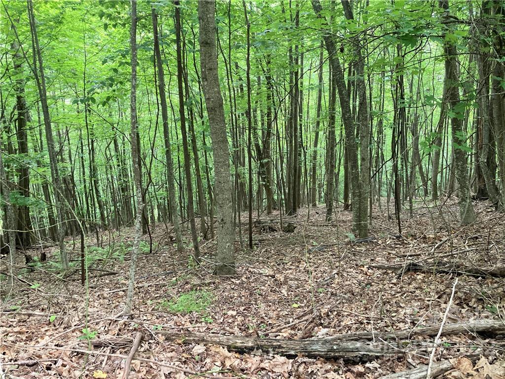 1161 Standing Deer Trace 130 Property Photo 18