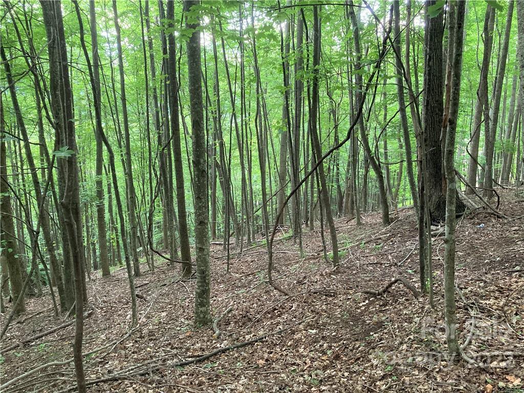 1161 Standing Deer Trace 130 Property Photo 19