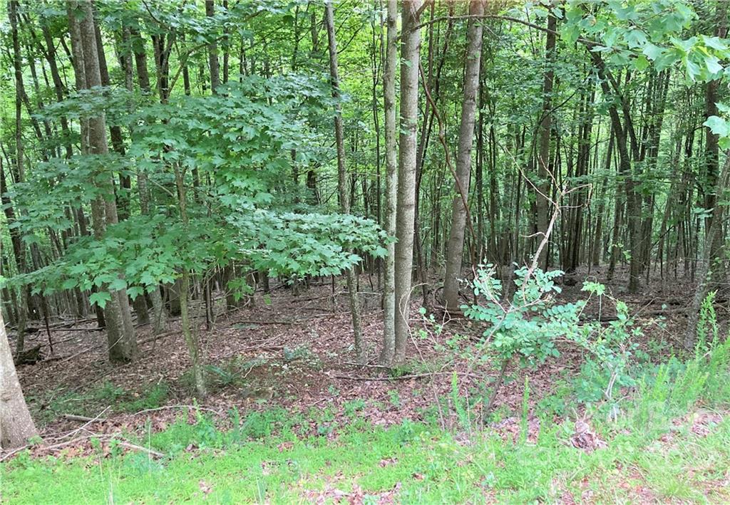 1161 Standing Deer Trace 130 Property Photo 20