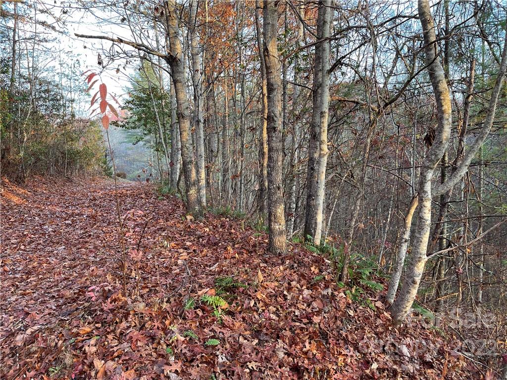Lot 43 Kimiko Lane Property Photo 2