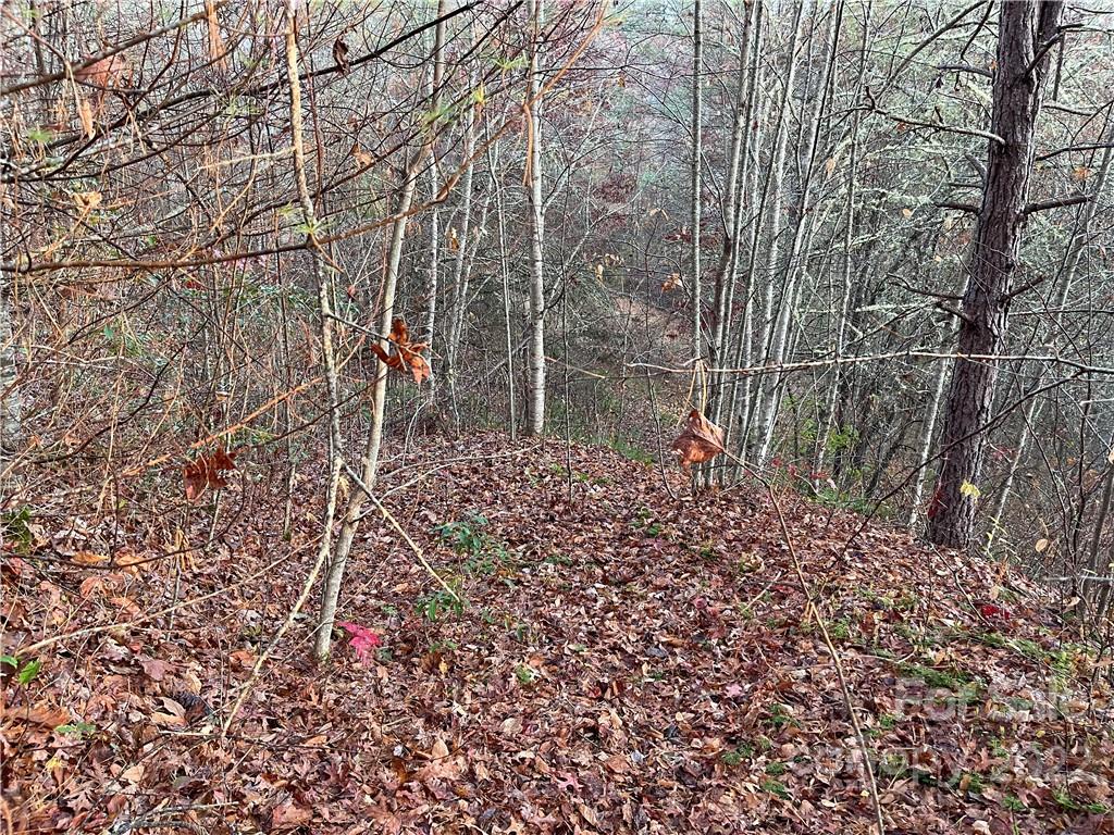 Lot 43 Kimiko Lane Property Photo 3