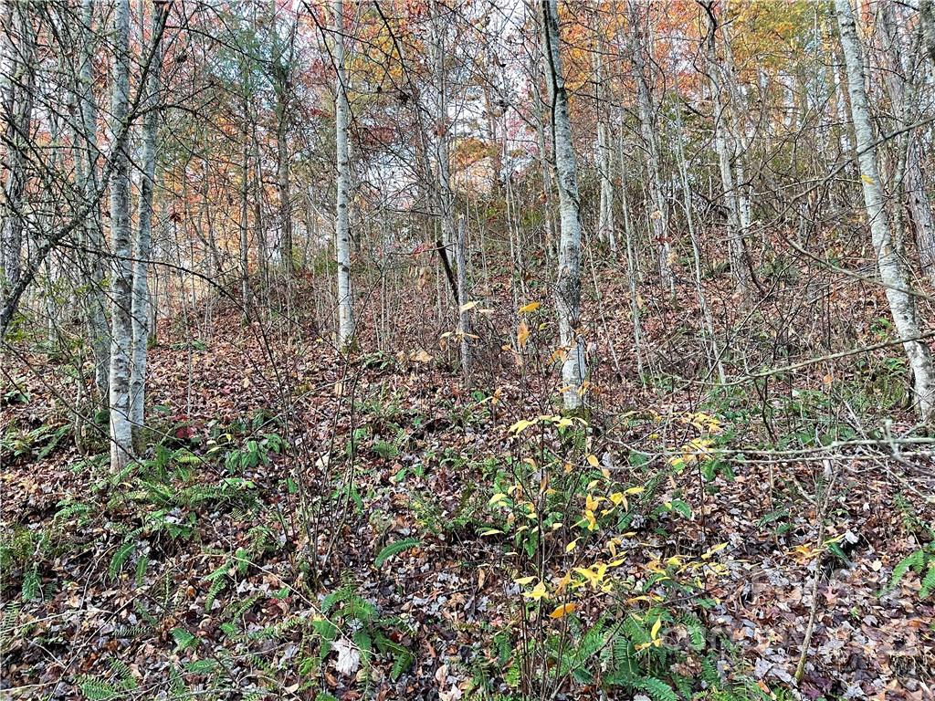 Lot 43 Kimiko Lane Property Photo 4