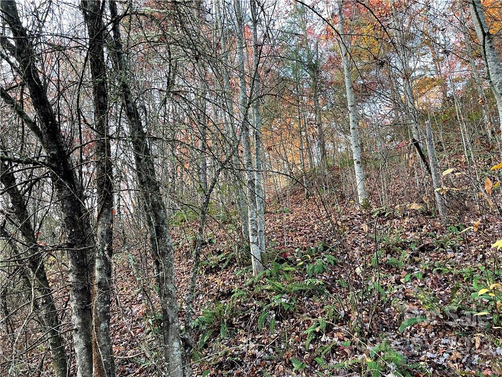 Lot 43 Kimiko Lane Property Photo 5