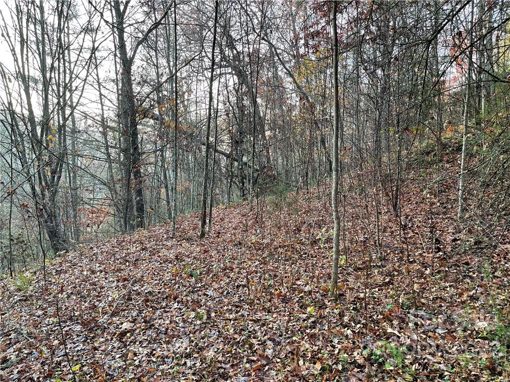 Lot 43 Kimiko Lane Property Photo 6
