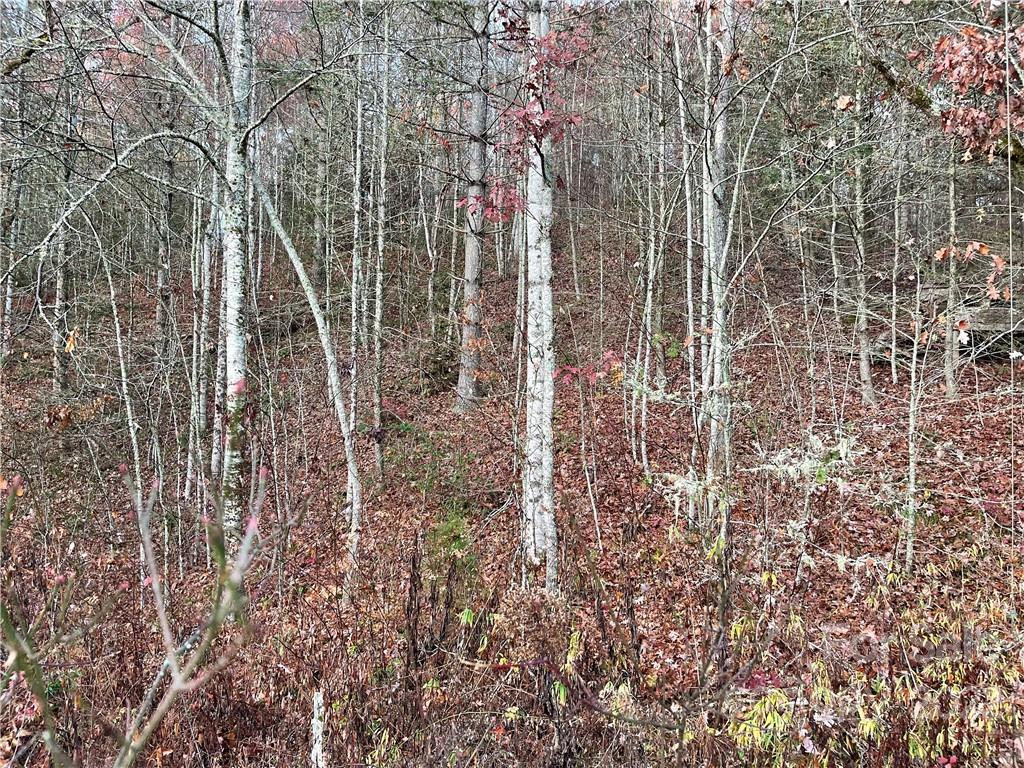 Lot 43 Kimiko Lane Property Photo 7