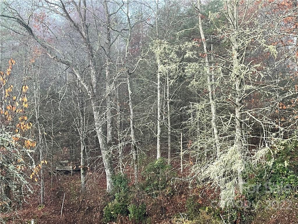 Lot 43 Kimiko Lane Property Photo 8