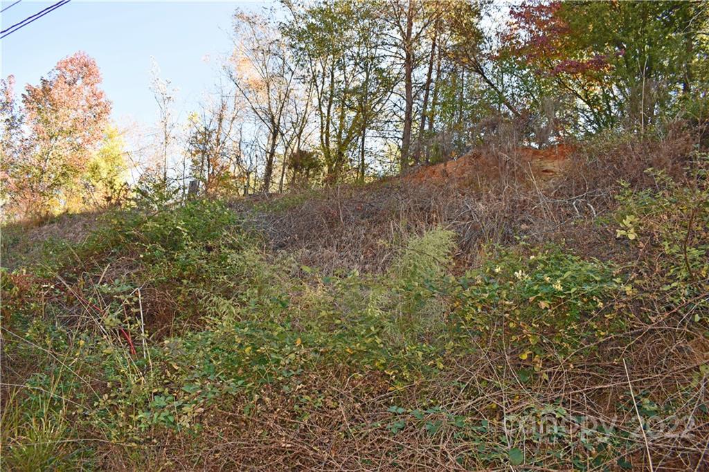 1297 Hwy 150 Bypass Property Photo 9
