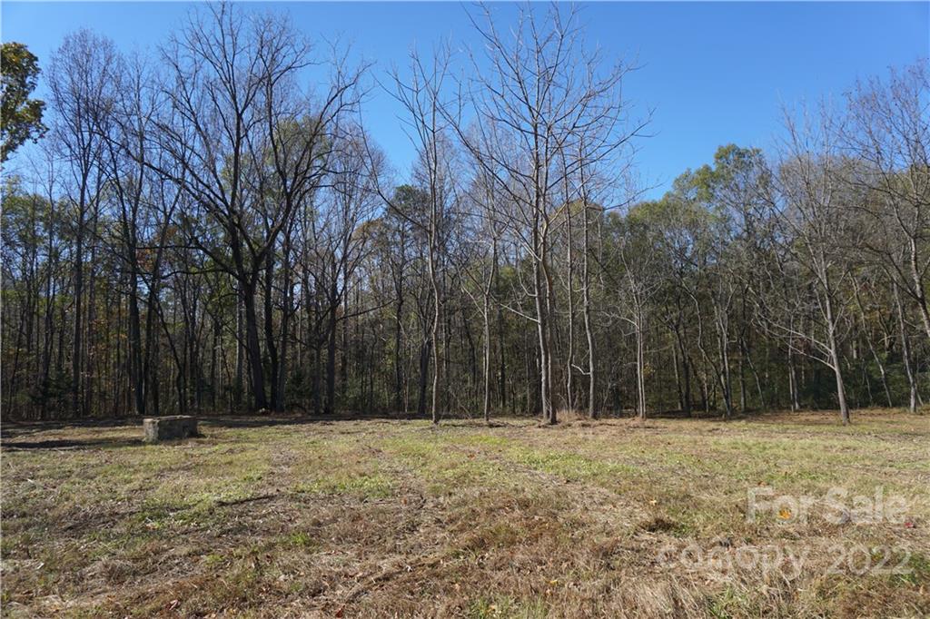 10.64 Ac Burree Road Property Photo 1