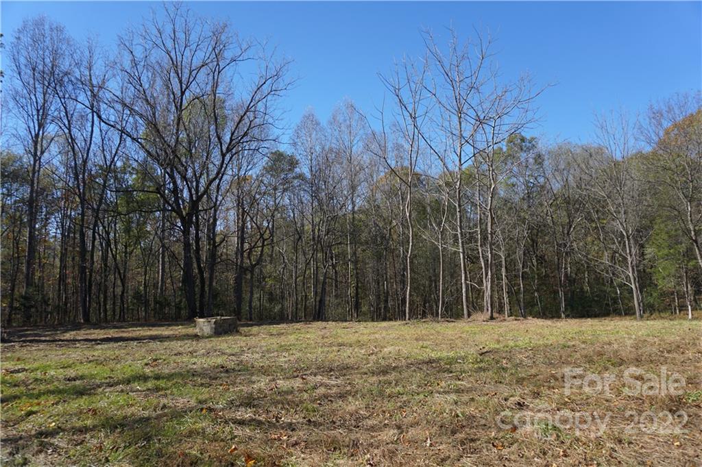 10.64 Ac Burree Road Property Photo 4