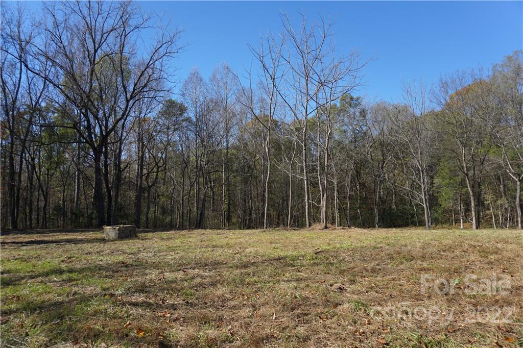 10.64 Ac Burree Road Property Photo 5