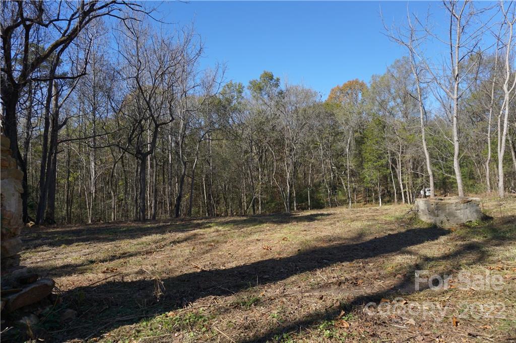 10.64 Ac Burree Road Property Photo 8