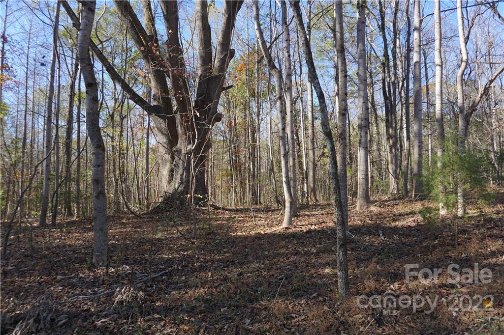 10.64 Ac Burree Road Property Photo 9