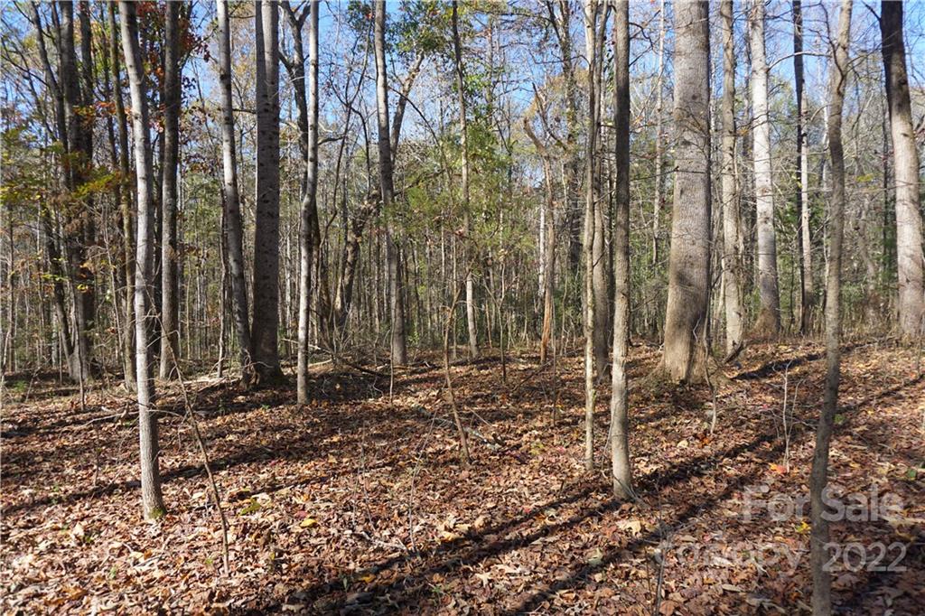 10.64 Ac Burree Road Property Photo 11