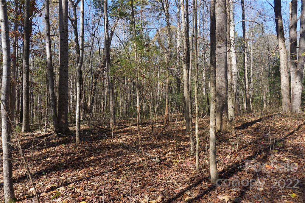 10.64 Ac Burree Road Property Photo 12