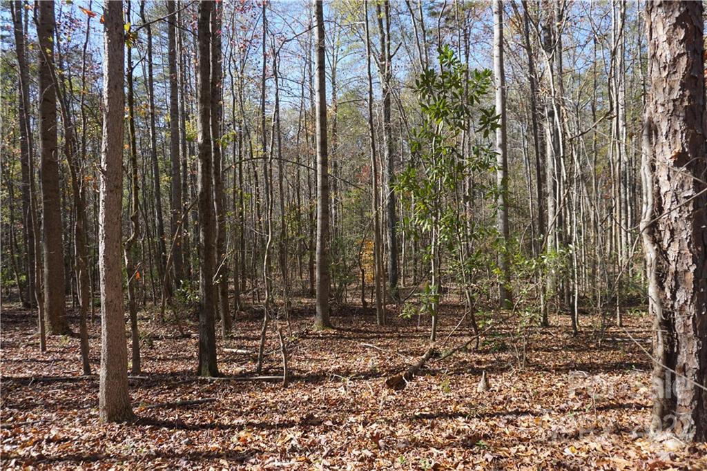 10.64 Ac Burree Road Property Photo 13