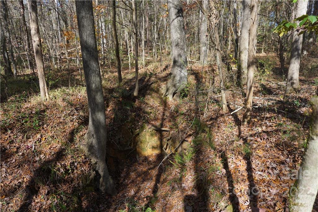 10.64 Ac Burree Road Property Photo 16