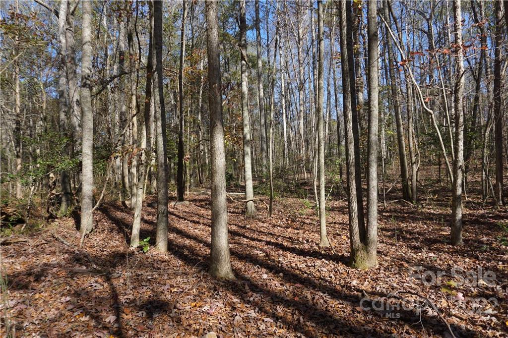 10.64 Ac Burree Road Property Photo 17