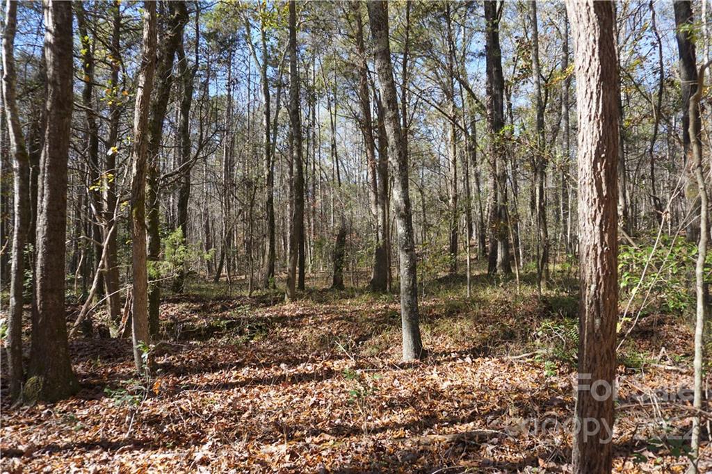 10.64 Ac Burree Road Property Photo 18