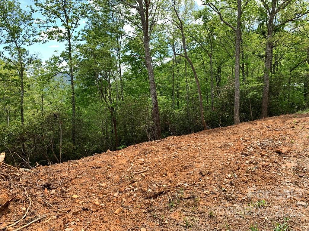 2 Palmetto Ridge Property Photo 1
