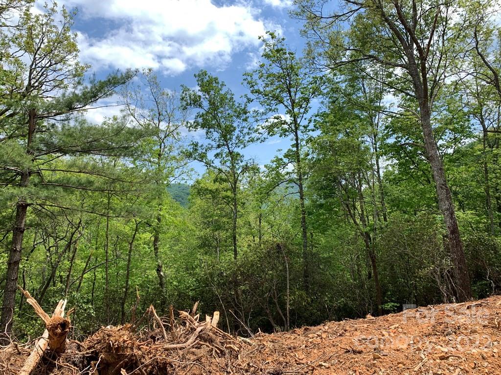 2 Palmetto Ridge Property Photo 2