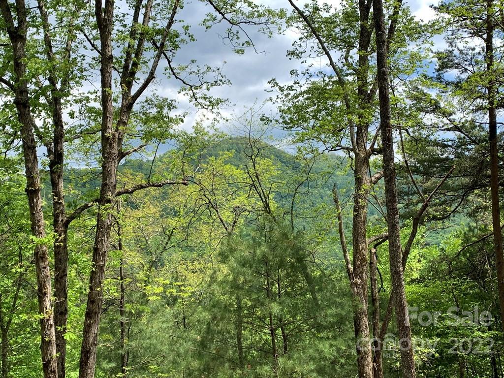 2 Palmetto Ridge Property Photo 4