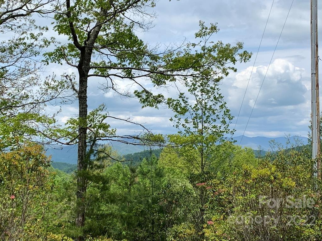 2 Palmetto Ridge Property Photo 5