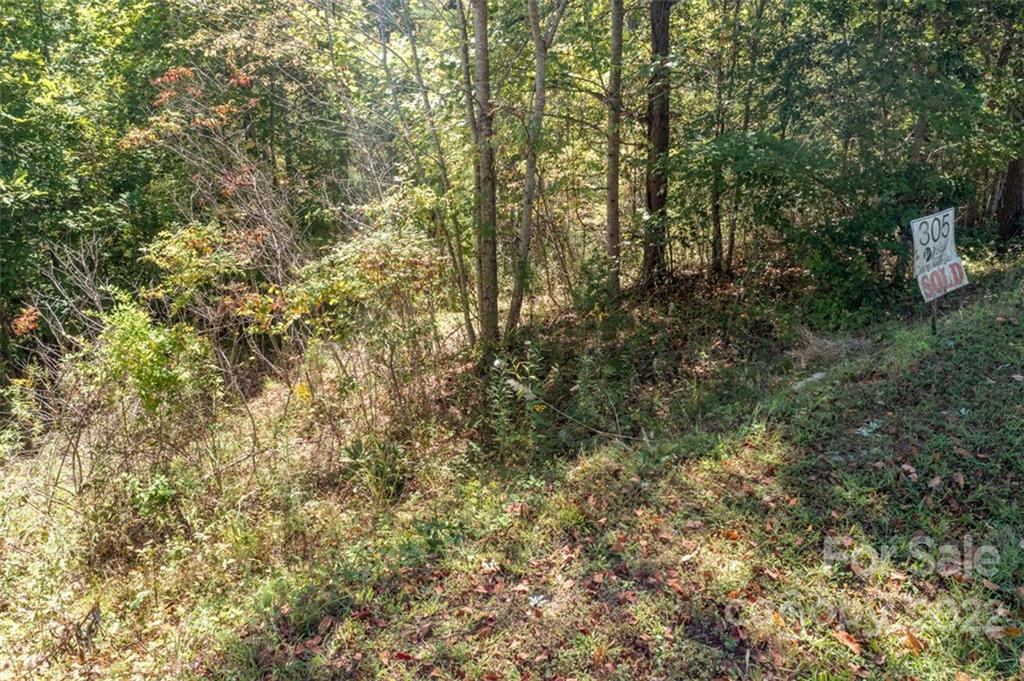00 Rock Ledge Drive 305 Property Photo 1