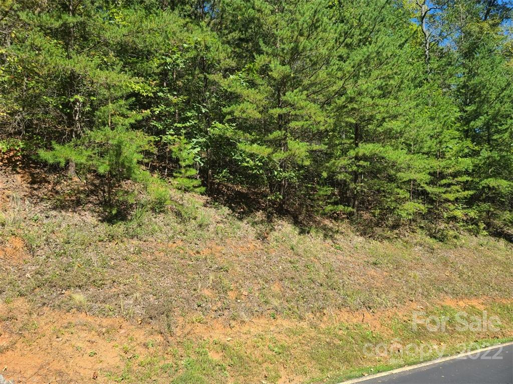 00 Rock Ledge Drive 305 Property Photo 6