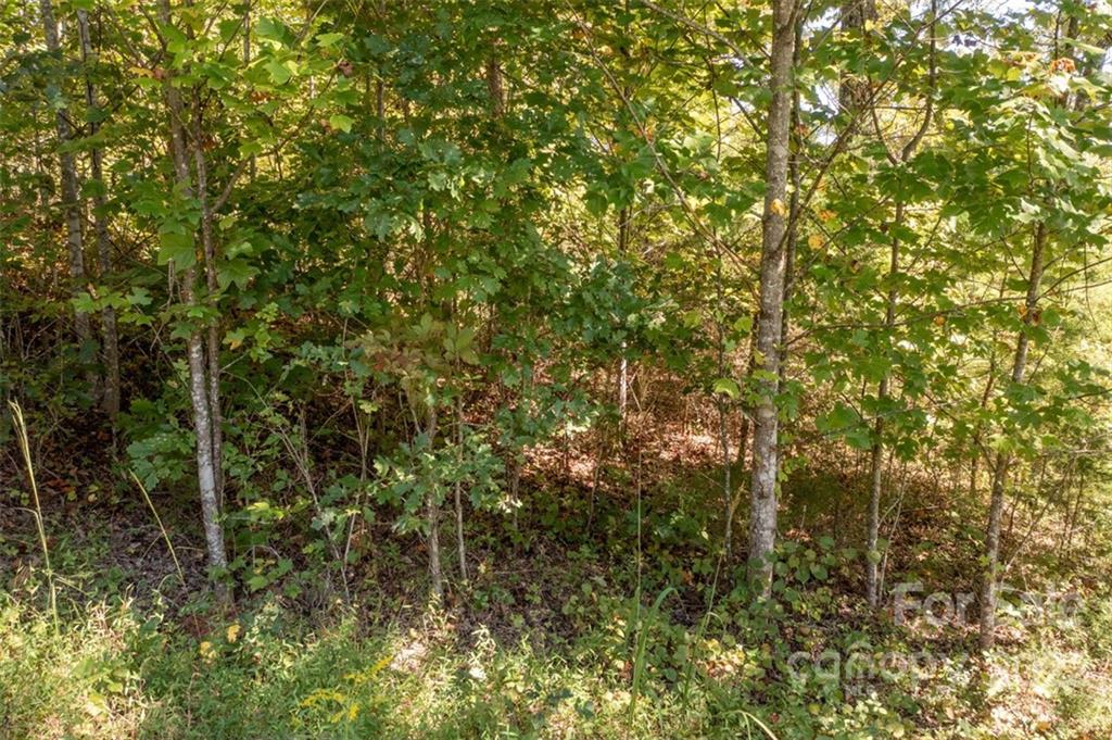 00 Rock Ledge Drive 305 Property Photo 35
