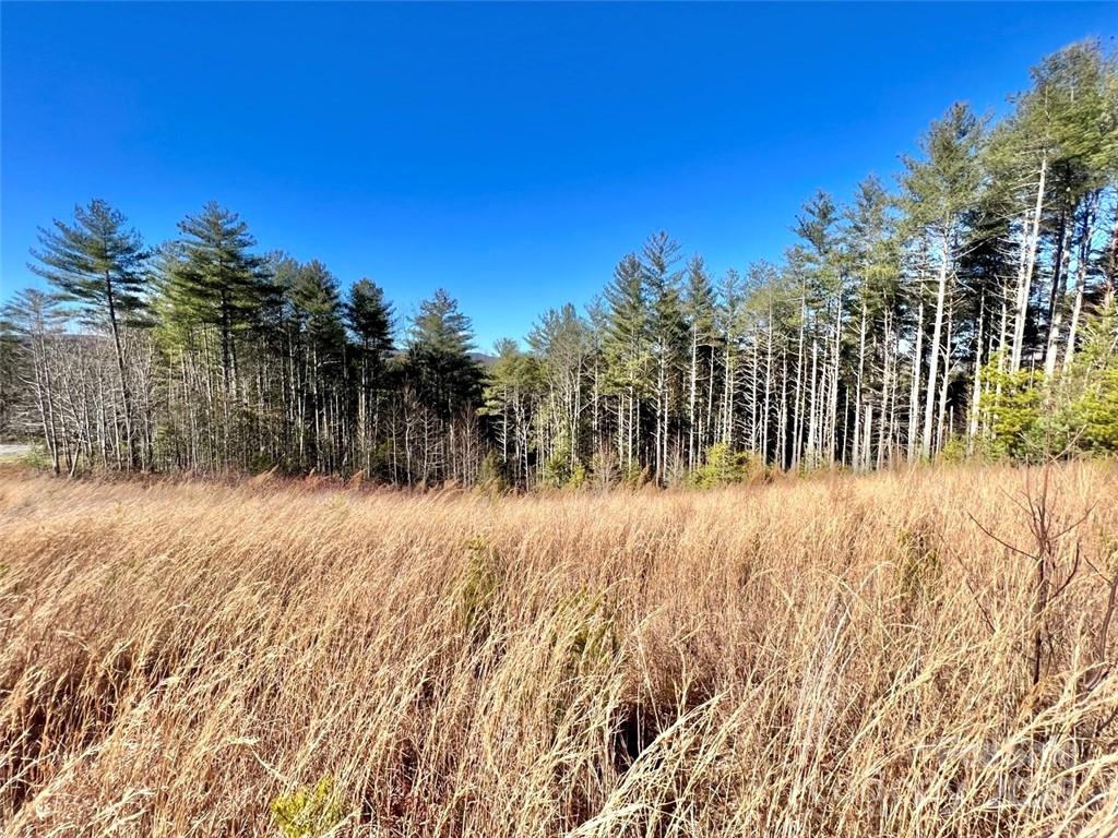 1.85 Acres Lot 154 Rocky Falls Lane 154 Property Photo 1