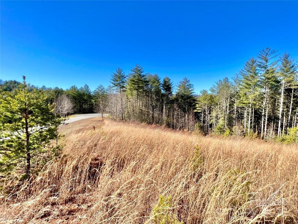 1.85 Acres Lot 154 Rocky Falls Lane 154 Property Photo 2