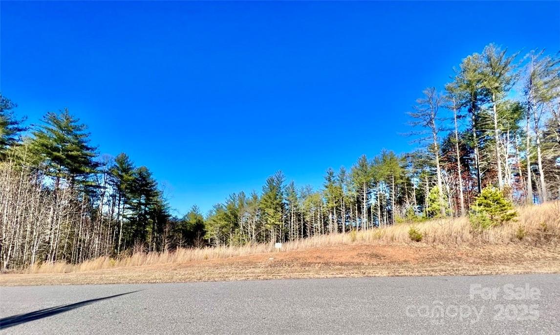 1.85 Acres Lot 154 Rocky Falls Lane 154 Property Photo 8