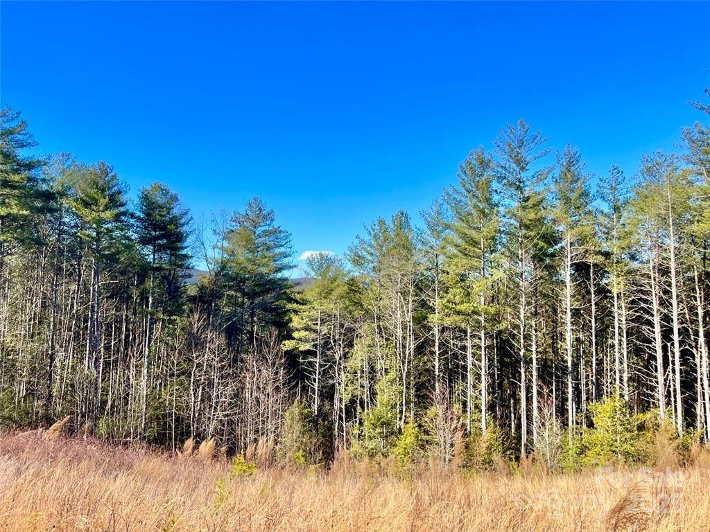1.85 Acres Lot 154 Rocky Falls Lane 154 Property Photo 12