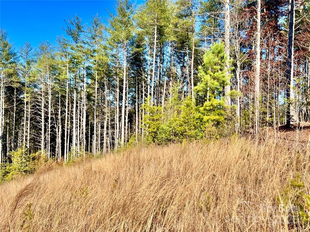 1.85 Acres Lot 154 Rocky Falls Lane 154 Property Photo 13