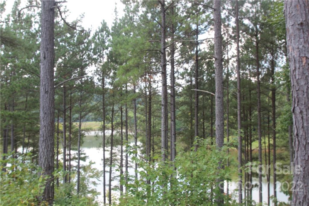 2038 & 2048 Inlet Shore Road 24 & 25 Property Photo 4