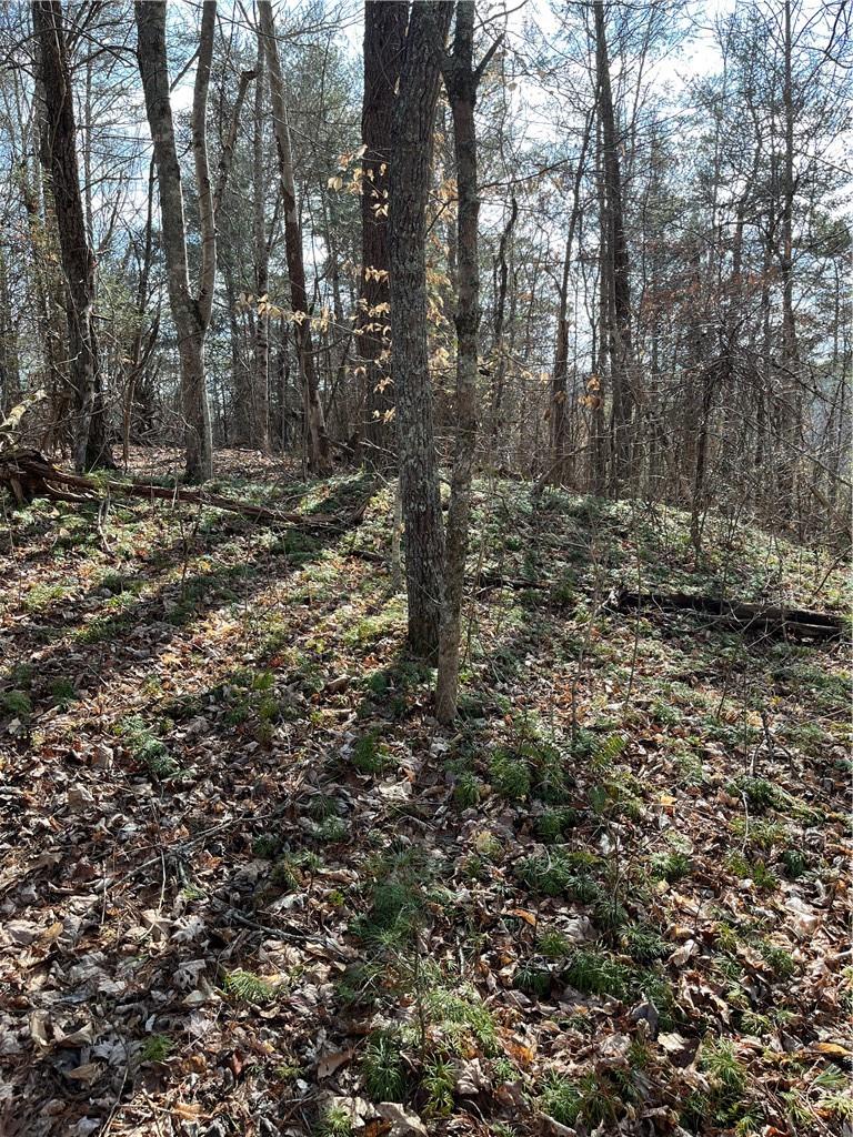999b Sams Crossing Property Photo 1