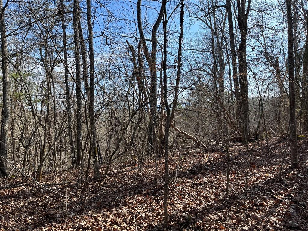 999b Sams Crossing Property Photo 3