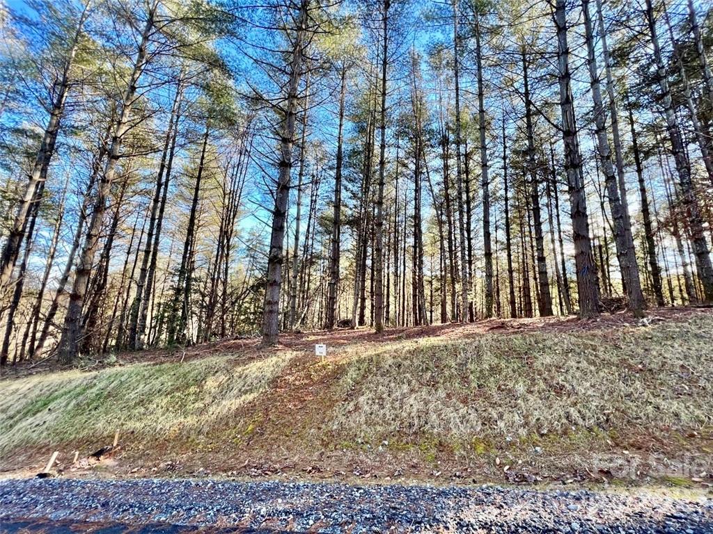 2.29 Acres Lot 94 Crescent Ridge Drive 94 Property Photo 2