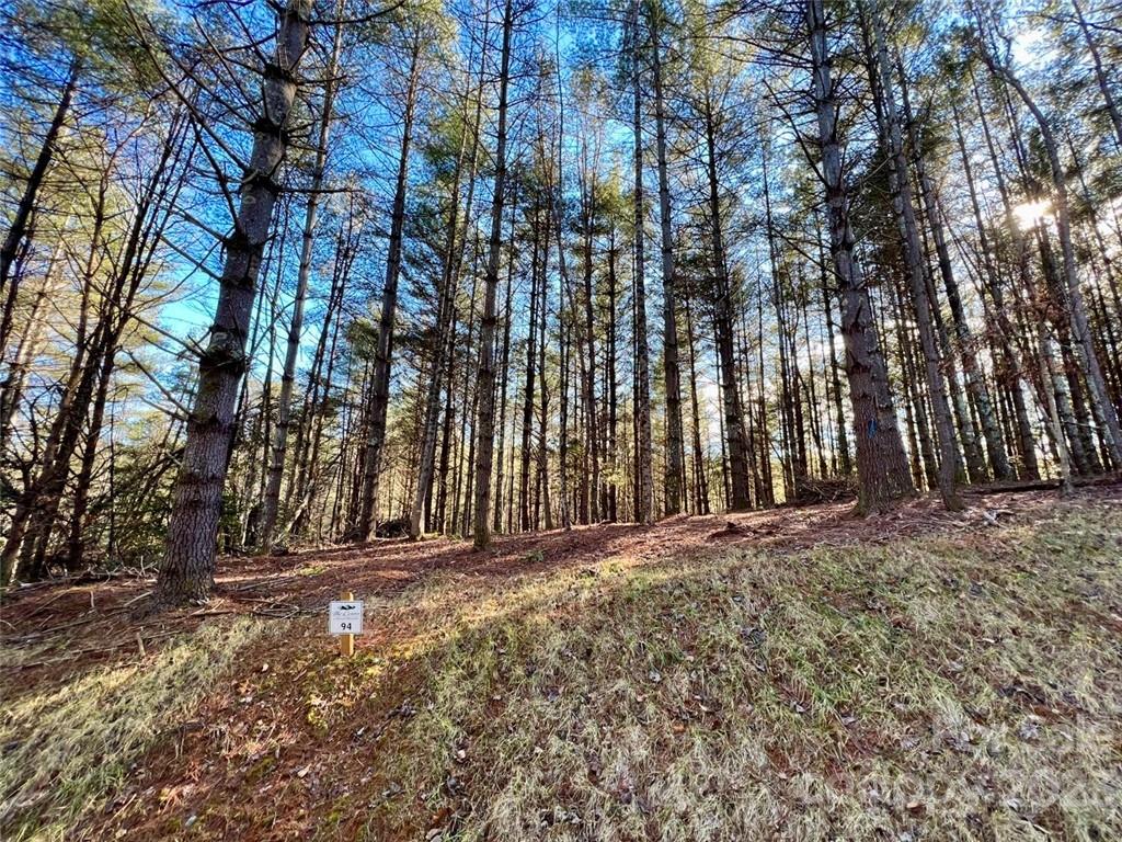 2.29 Acres Lot 94 Crescent Ridge Drive 94 Property Photo 3