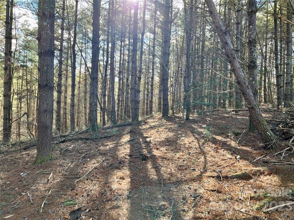 2.29 Acres Lot 94 Crescent Ridge Drive 94 Property Photo 4