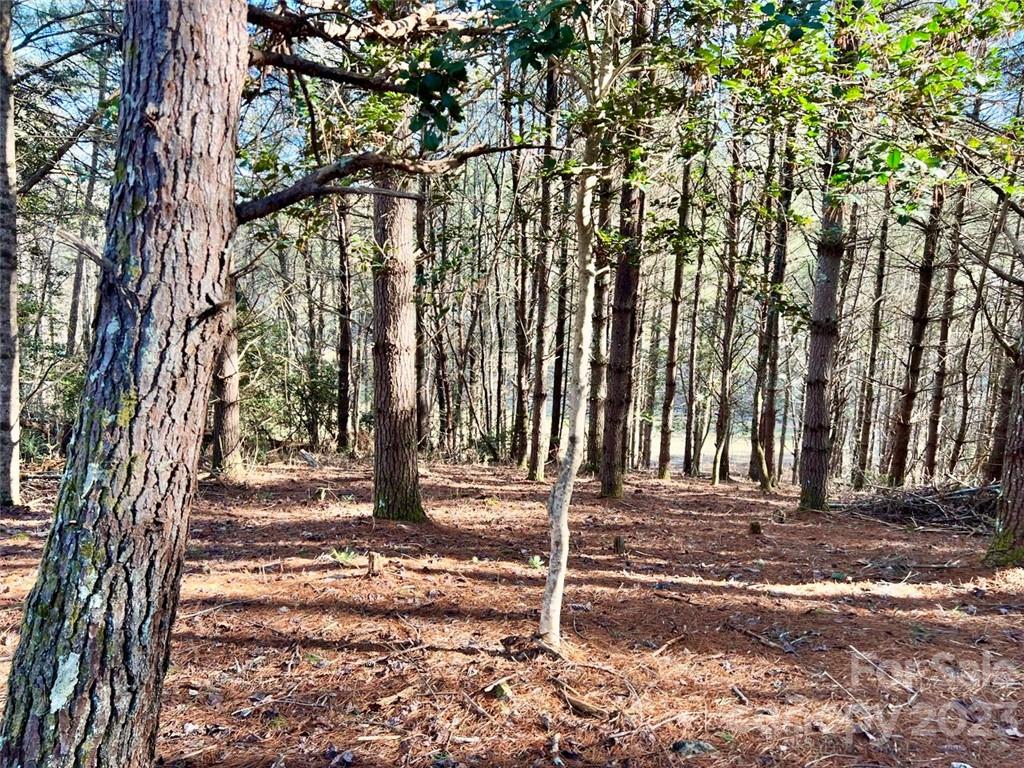 2.29 Acres Lot 94 Crescent Ridge Drive 94 Property Photo 5