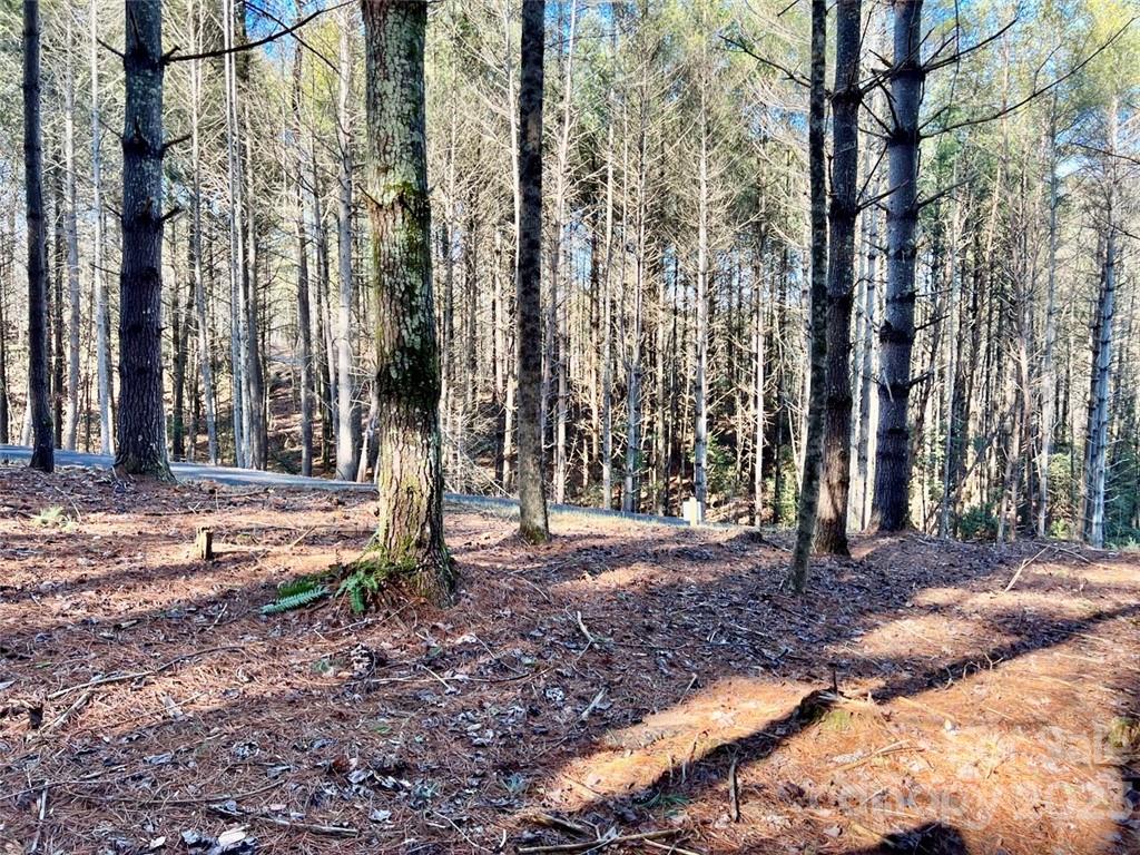 2.29 Acres Lot 94 Crescent Ridge Drive 94 Property Photo 6