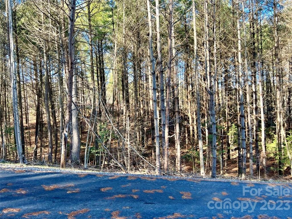 2.29 Acres Lot 94 Crescent Ridge Drive 94 Property Photo 8