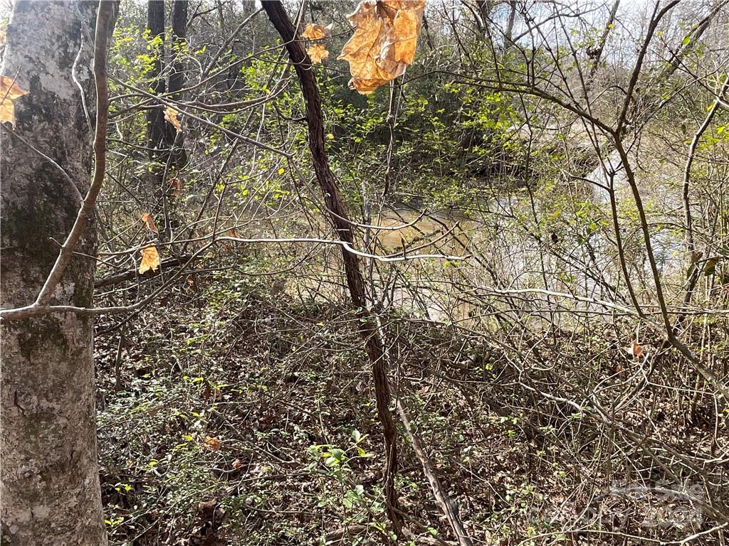 161 Little River Trail Property Photo 6