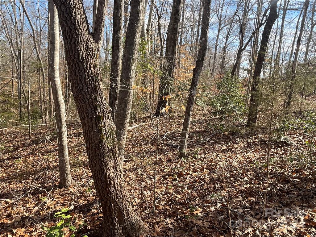 161 Little River Trail Property Photo 8